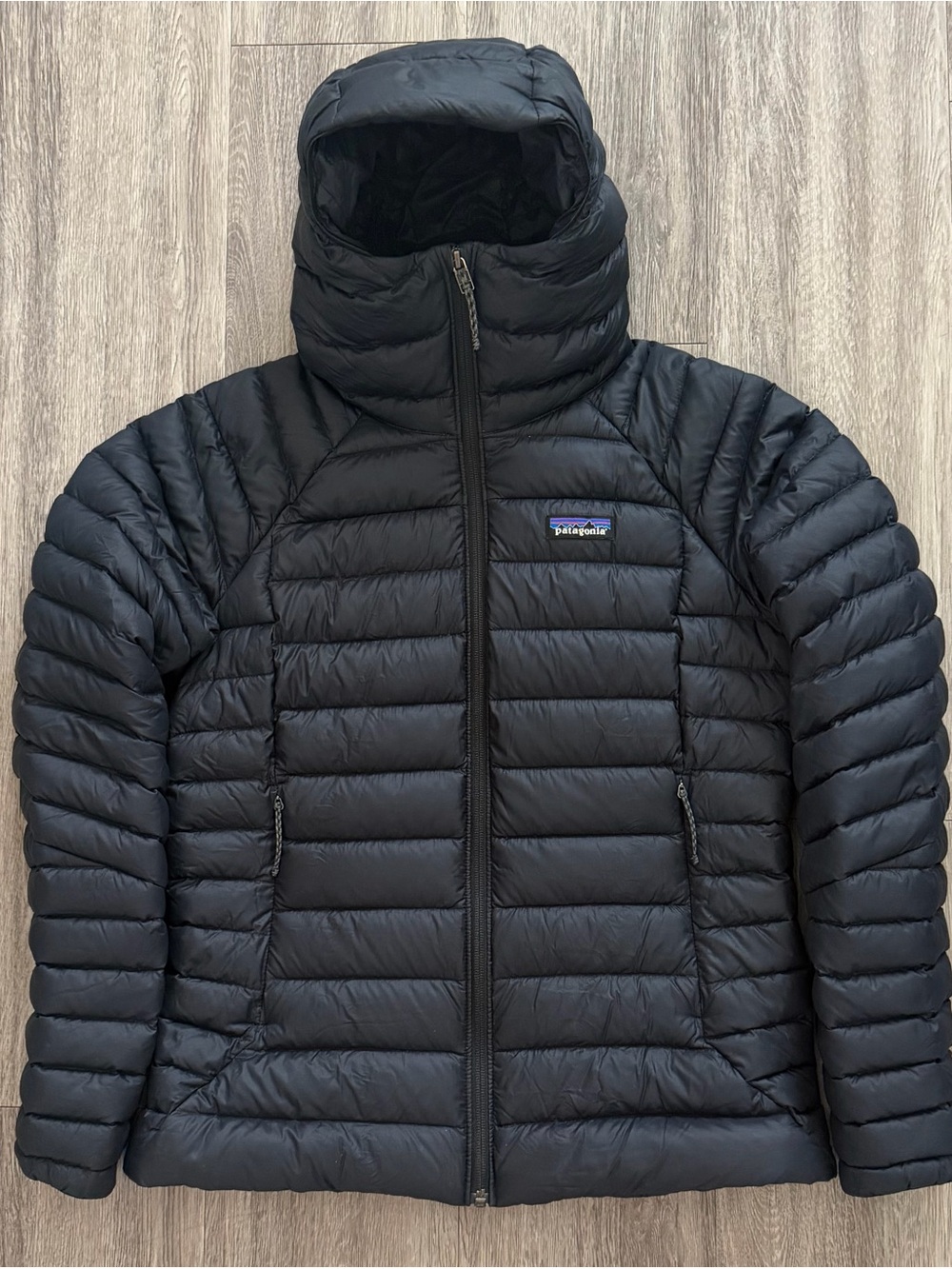 LikeNEW Patagonia Down Sweater Hoody Womens Small Black Puffer Jacket MSRP $345